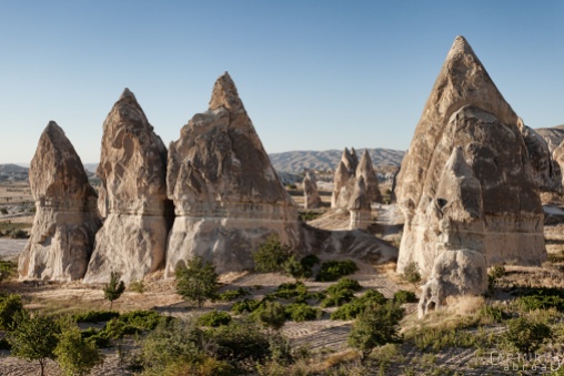 Tomotoes grow under the Fairy Chimneys of Cappadocia